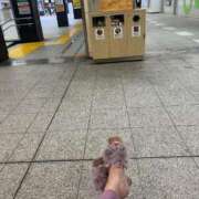 ヒメ日記 2025/05/24 07:22 投稿 あやな 熟女の風俗最終章 新宿店