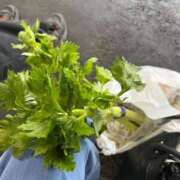 ヒメ日記 2025/05/26 15:22 投稿 あやな 熟女の風俗最終章 新宿店