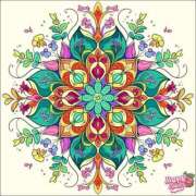 ヒメ日記 2025/06/14 15:03 投稿 あやな 熟女の風俗最終章 新宿店