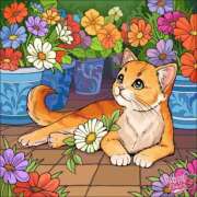 ヒメ日記 2025/07/06 20:52 投稿 あやな 熟女の風俗最終章 新宿店