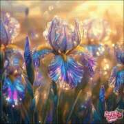 ヒメ日記 2025/07/20 06:22 投稿 あやな 熟女の風俗最終章 新宿店