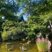 ヒメ日記 2025/07/21 06:52 投稿 あやな 熟女の風俗最終章 新宿店