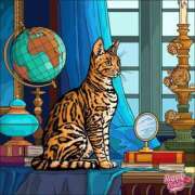 ヒメ日記 2025/07/24 09:00 投稿 あやな 熟女の風俗最終章 新宿店