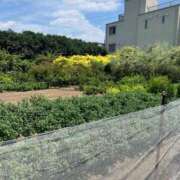 ヒメ日記 2025/08/04 11:57 投稿 あやな 熟女の風俗最終章 新宿店