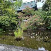 ヒメ日記 2025/09/18 16:36 投稿 あやな 熟女の風俗最終章 新宿店