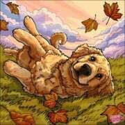 ヒメ日記 2025/11/19 20:10 投稿 あやな 熟女の風俗最終章 新宿店