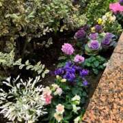 ヒメ日記 2025/11/19 20:30 投稿 あやな 熟女の風俗最終章 新宿店