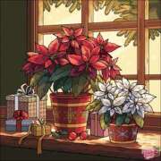 ヒメ日記 2025/12/10 14:16 投稿 あやな 熟女の風俗最終章 新宿店