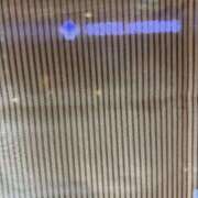 ヒメ日記 2025/12/12 20:44 投稿 あやな 熟女の風俗最終章 新宿店