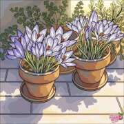 ヒメ日記 2026/01/06 03:42 投稿 あやな 熟女の風俗最終章 新宿店