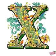 ヒメ日記 2026/02/19 07:42 投稿 あやな 熟女の風俗最終章 新宿店