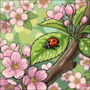 ヒメ日記 2026/02/19 09:55 投稿 あやな 熟女の風俗最終章 新宿店