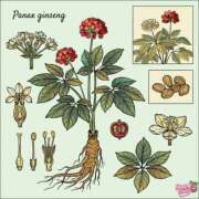 ヒメ日記 2026/03/04 20:16 投稿 あやな 熟女の風俗最終章 新宿店