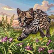 ヒメ日記 2026/03/05 00:10 投稿 あやな 熟女の風俗最終章 新宿店