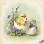 ヒメ日記 2026/03/08 17:12 投稿 あやな 熟女の風俗最終章 新宿店