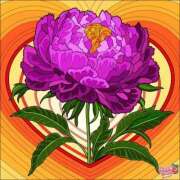 ヒメ日記 2026/03/13 18:02 投稿 あやな 熟女の風俗最終章 新宿店