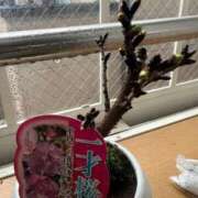 ヒメ日記 2026/03/20 17:42 投稿 あやな 熟女の風俗最終章 新宿店