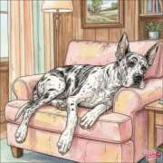 ヒメ日記 2026/04/05 16:05 投稿 あやな 熟女の風俗最終章 新宿店