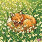 ヒメ日記 2026/04/11 14:57 投稿 あやな 熟女の風俗最終章 新宿店