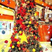 ヒメ日記 2024/12/25 07:42 投稿 つむぎ 熟女の風俗最終章 新宿店