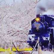 ヒメ日記 2025/04/07 11:45 投稿 つむぎ 熟女の風俗最終章 新宿店