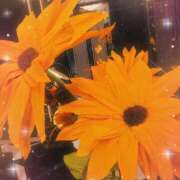 ヒメ日記 2025/07/07 13:22 投稿 つむぎ 熟女の風俗最終章 新宿店