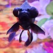 ヒメ日記 2025/07/20 19:42 投稿 つむぎ 熟女の風俗最終章 新宿店