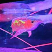 ヒメ日記 2025/07/21 10:23 投稿 つむぎ 熟女の風俗最終章 新宿店