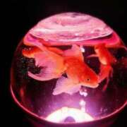 ヒメ日記 2025/07/29 07:22 投稿 つむぎ 熟女の風俗最終章 新宿店