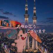 ヒメ日記 2026/09/24 22:57 投稿 つむぎ 熟女の風俗最終章 新宿店