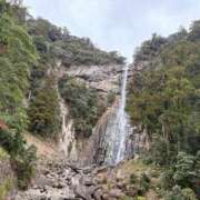 ヒメ日記 2025/01/12 14:54 投稿 えみ 熟女の風俗最終章 新宿店