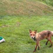 ヒメ日記 2025/07/05 07:42 投稿 えみ 熟女の風俗最終章 新宿店