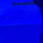 りりぃ EXPO2025 熟女の風俗最終章 新宿店