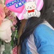 ヒメ日記 2026/04/28 02:52 投稿 りつ 熟女の風俗最終章 新宿店