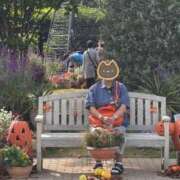 いくよ ◯◯◯◯フラワー◯ー◯(^^) 熟女の風俗最終章 新宿店