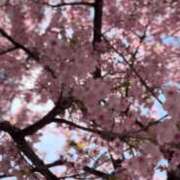 ヒメ日記 2025/03/07 14:43 投稿 ゆきほ 熟女の風俗最終章 新宿店