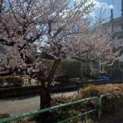 ヒメ日記 2025/03/10 15:51 投稿 ゆきほ 熟女の風俗最終章 新宿店