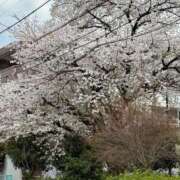 ヒメ日記 2025/04/07 21:27 投稿 ゆきほ 熟女の風俗最終章 新宿店