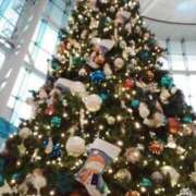 ヒメ日記 2024/12/24 01:15 投稿 しま 熟女の風俗最終章 新宿店