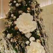 ヒメ日記 2024/12/24 20:23 投稿 しま 熟女の風俗最終章 新宿店