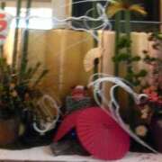 ヒメ日記 2025/01/02 19:45 投稿 しま 熟女の風俗最終章 新宿店