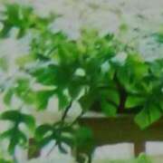 ヒメ日記 2025/01/07 13:21 投稿 しま 熟女の風俗最終章 新宿店