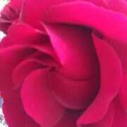 ヒメ日記 2025/03/07 17:53 投稿 しま 熟女の風俗最終章 新宿店