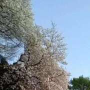 ヒメ日記 2025/04/04 00:15 投稿 しま 熟女の風俗最終章 新宿店