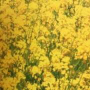 ヒメ日記 2025/04/13 19:47 投稿 しま 熟女の風俗最終章 新宿店