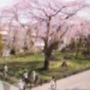 ヒメ日記 2025/04/20 20:00 投稿 しま 熟女の風俗最終章 新宿店