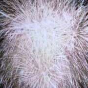 ヒメ日記 2025/08/03 00:22 投稿 しま 熟女の風俗最終章 新宿店