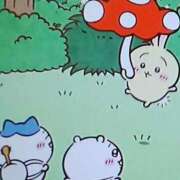 ヒメ日記 2025/11/21 03:25 投稿 しま 熟女の風俗最終章 新宿店