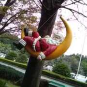 ヒメ日記 2025/12/19 07:42 投稿 しま 熟女の風俗最終章 新宿店