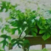 ヒメ日記 2026/01/28 15:40 投稿 しま 熟女の風俗最終章 新宿店